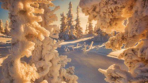 Золотое начало дня!