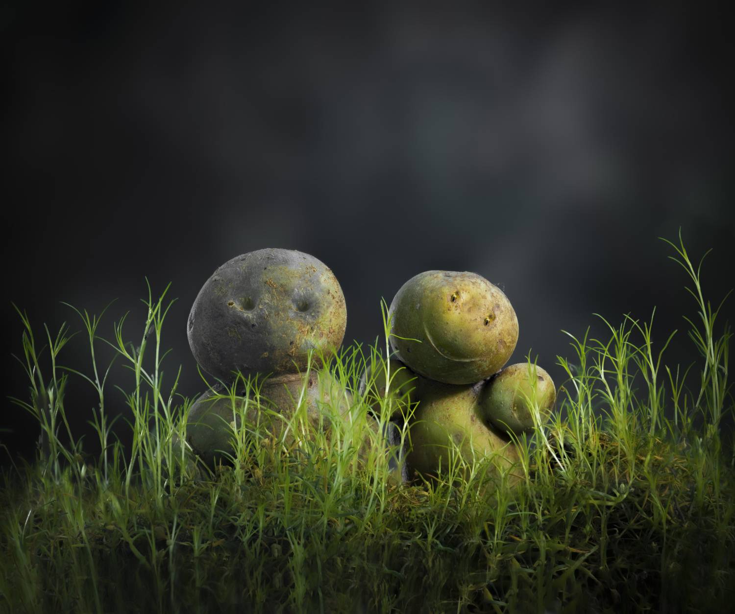 , Черновол Валентин