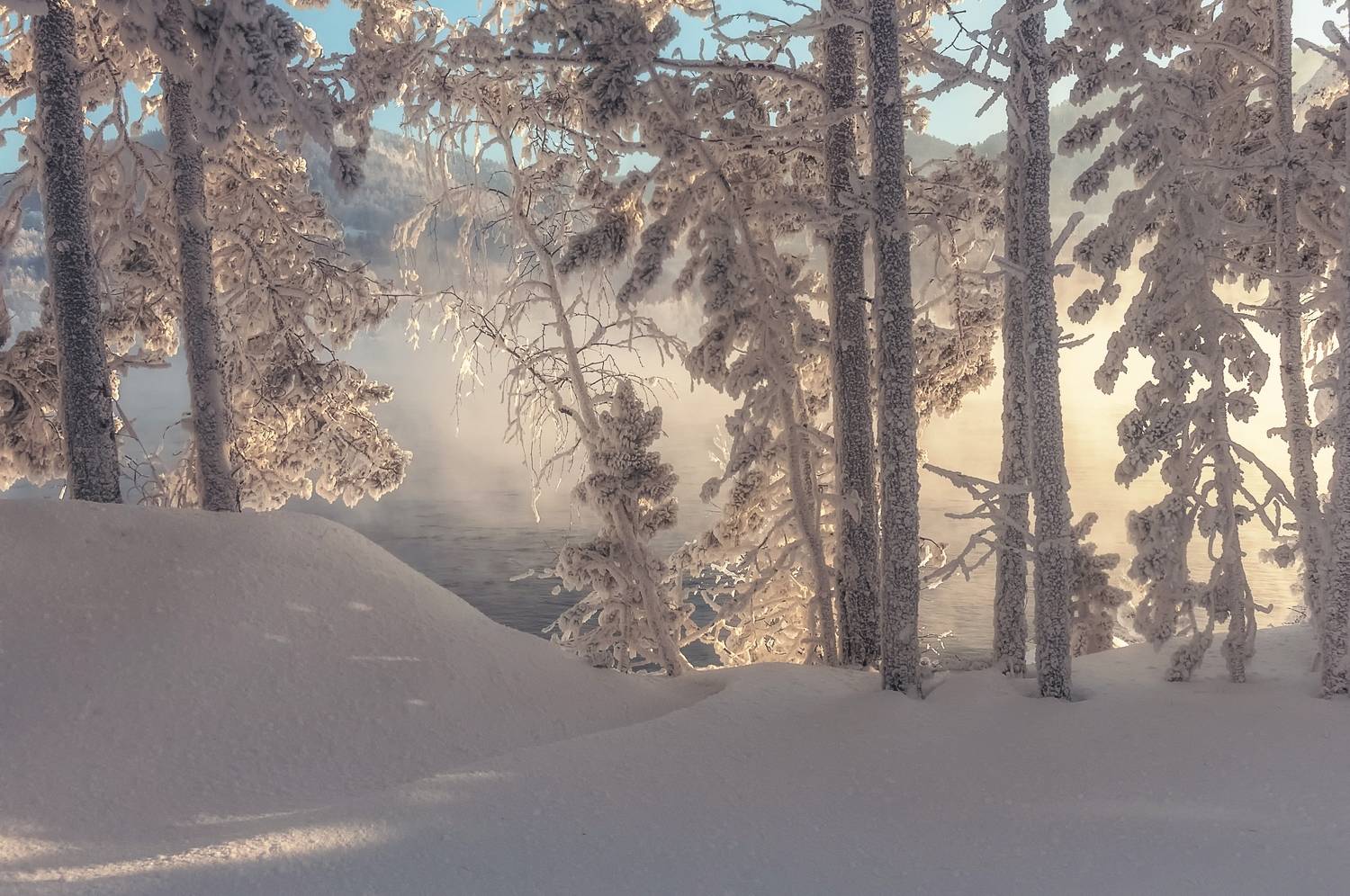 мороз, туман, дымка, енисей, деревья, иней, сибирь, Фомина Марина