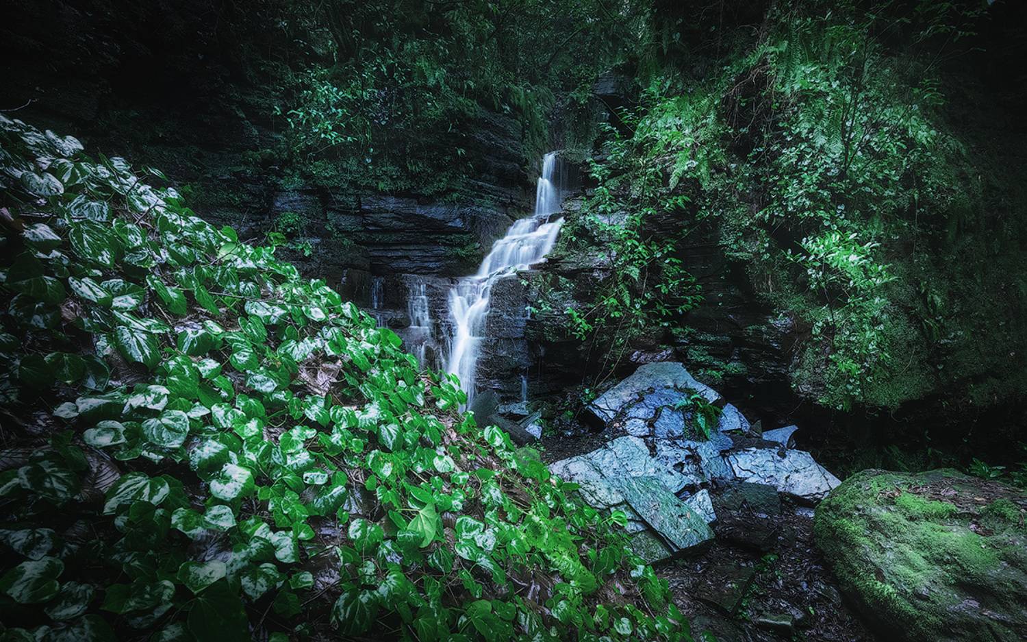 , Андрей Родионов