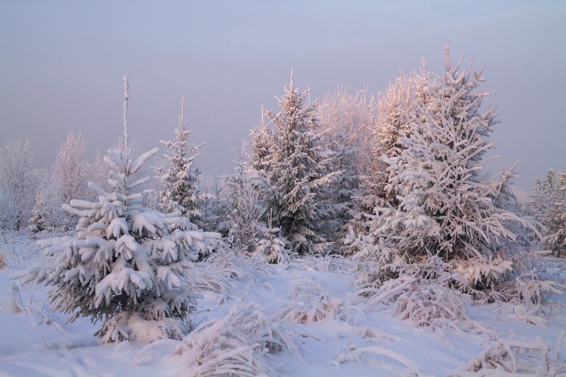 Поздний зимний вечер фото превью