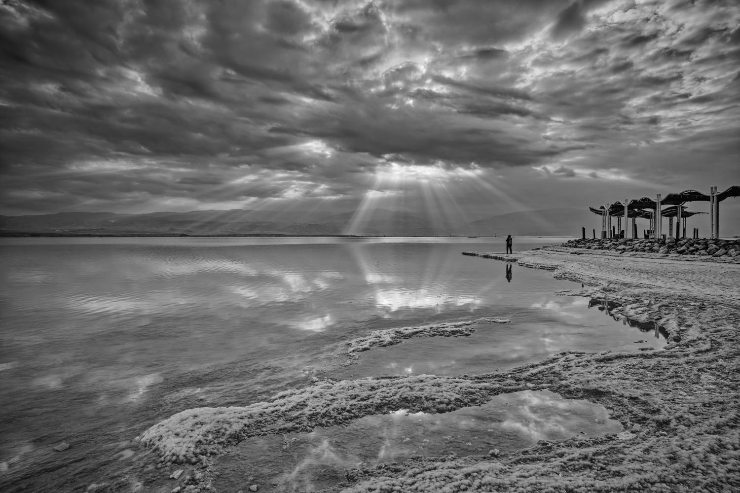 , David Solodar