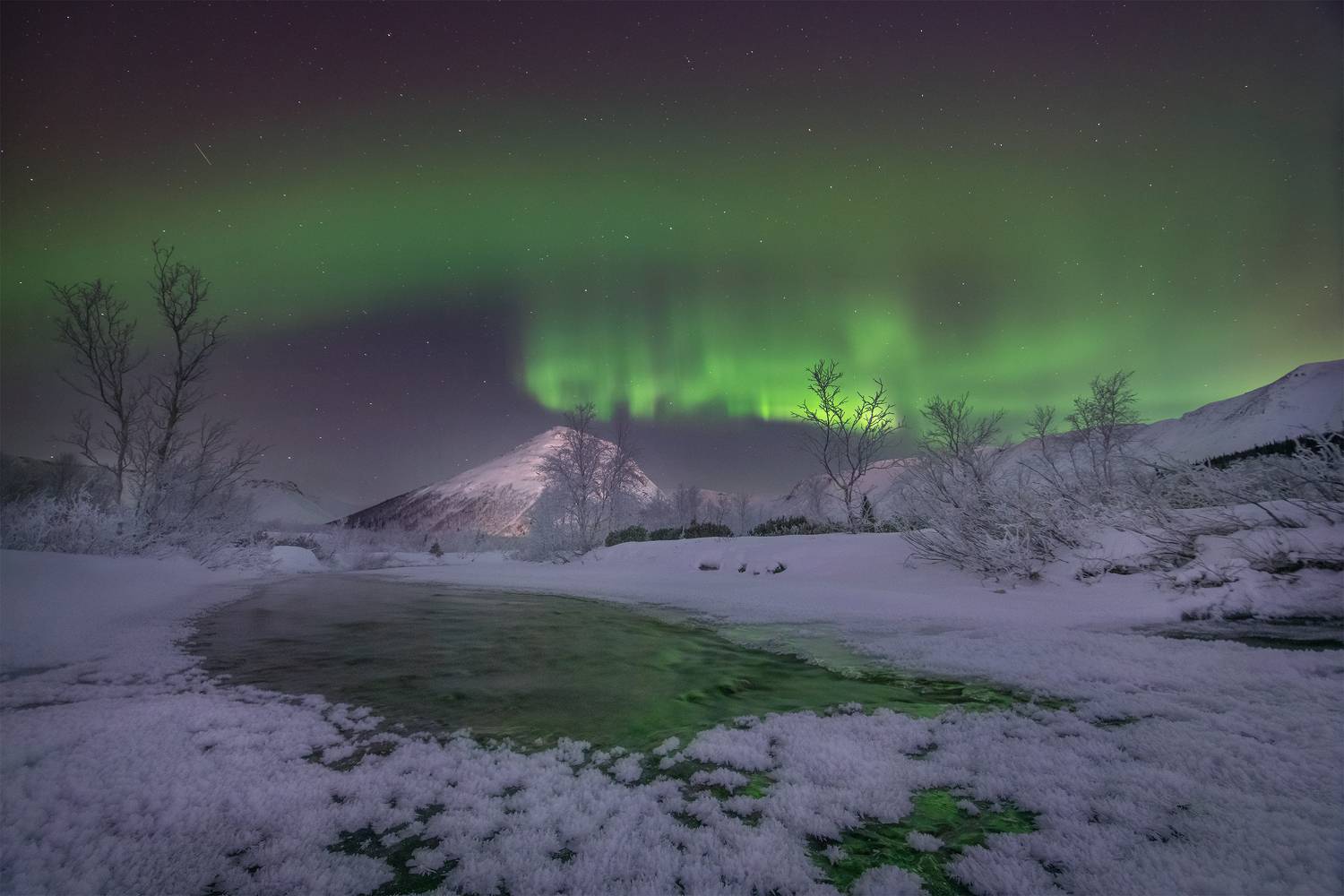 , Елена Ермолина