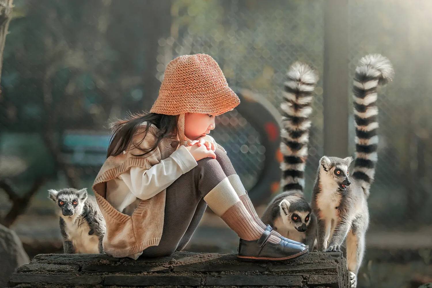 yao wenqi,  姚文琦