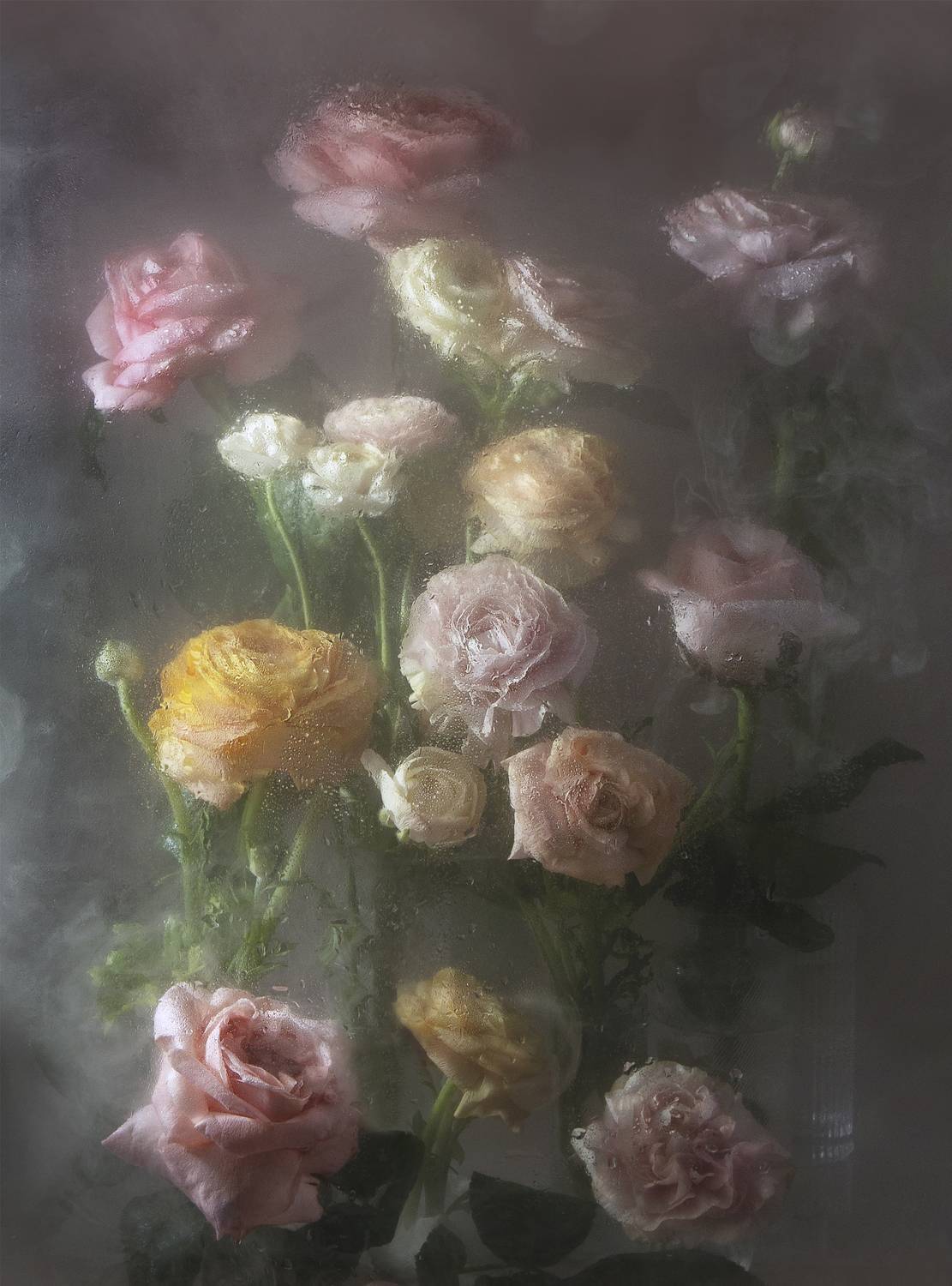 букет, розы, розовые, натюрморт, окно, стекло, стол, композиция, подарок, праздник, романтика,, Kostomarova Alla