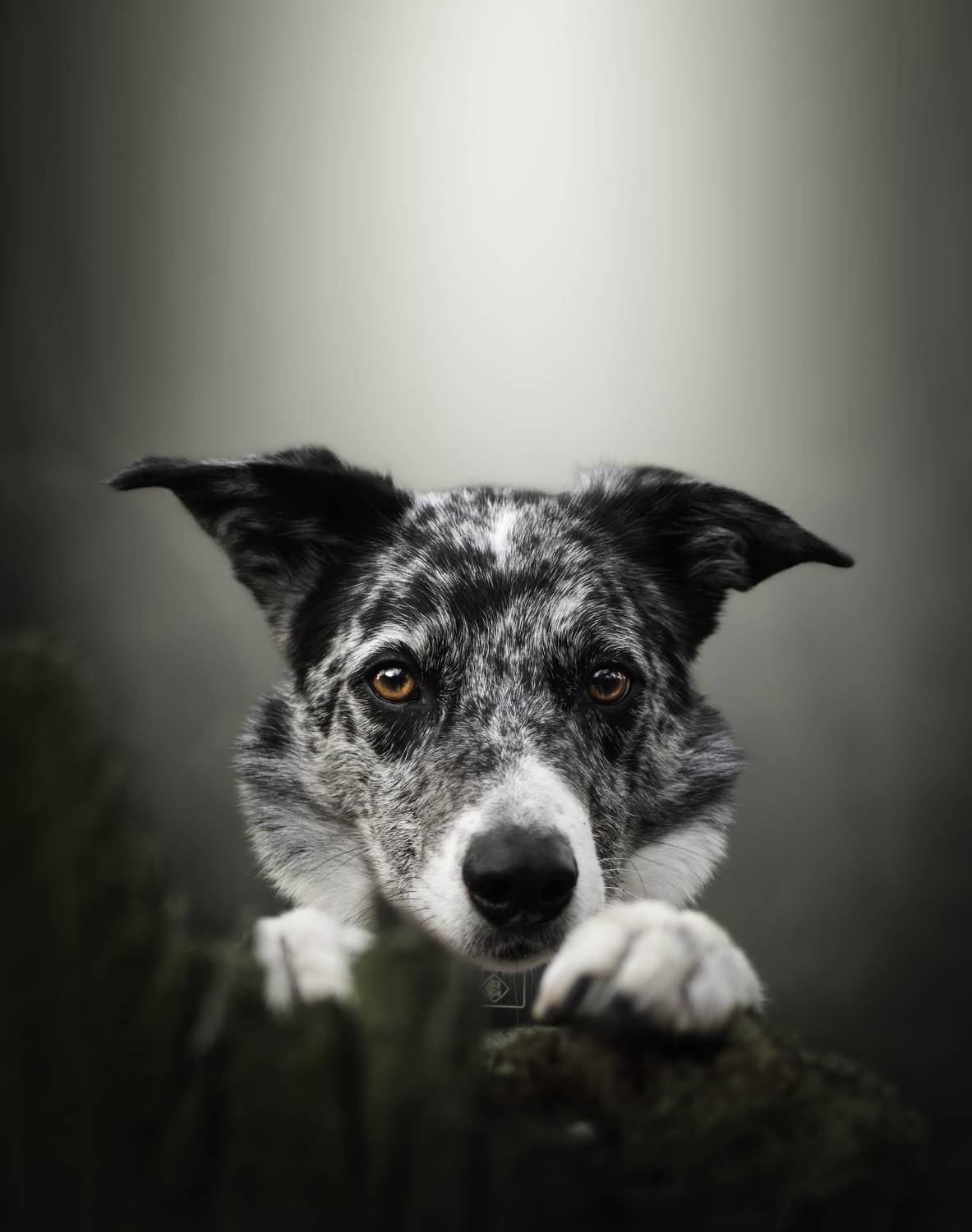 , leticia pascual garcia