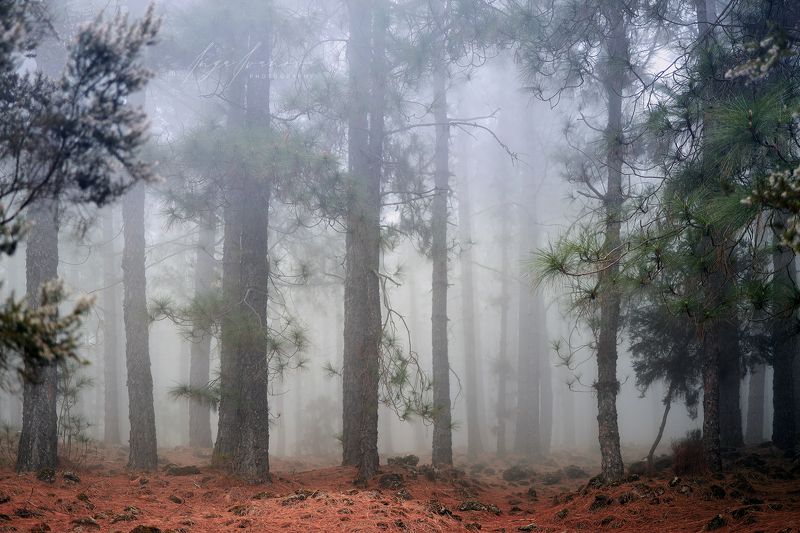 Национальный парк Тейде фото превью