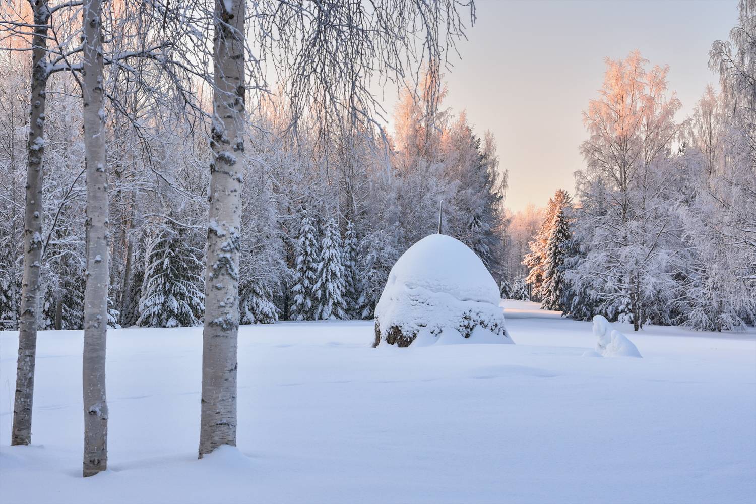 зима, снег, иней, мороз, сугробы, деревья, стог, стожок, елки, березы, Вера Ра