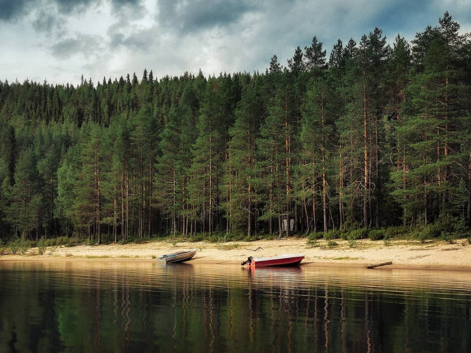 пейзаж, лес, деревья, карелия, Хомастя Настя