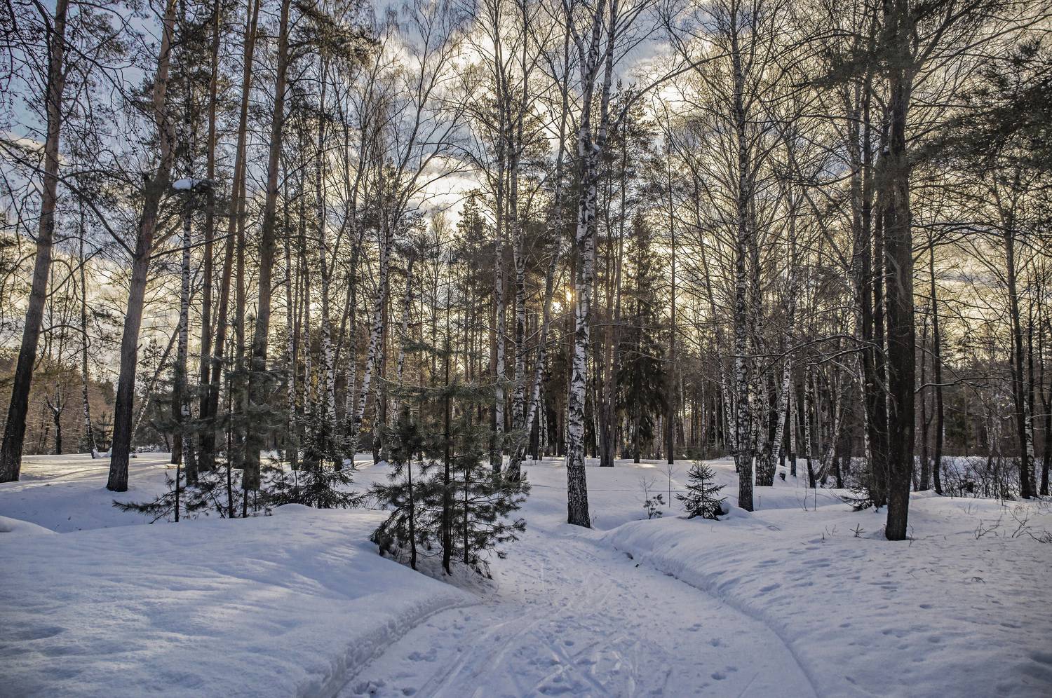 , Шитов Александр