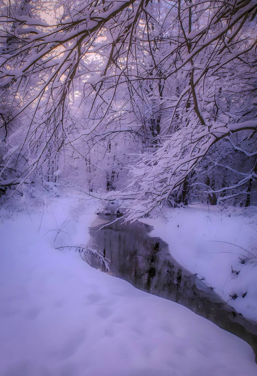 пейзаж, landscape, nature, природа, зима, winter, sunset, закат, лес, forest, Julia Kaissa