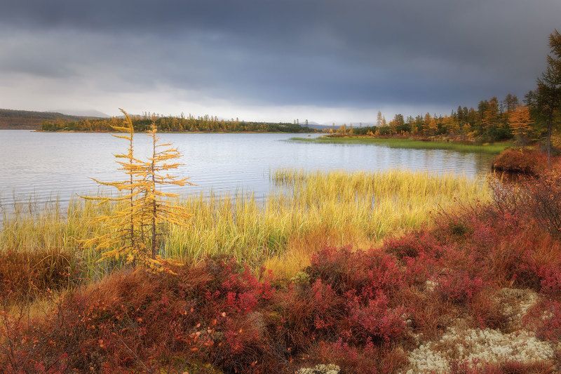 озеро Джека Лондона фото превью