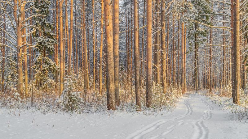 фото превью