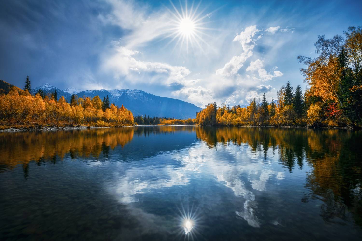 , Nikitin Alexander