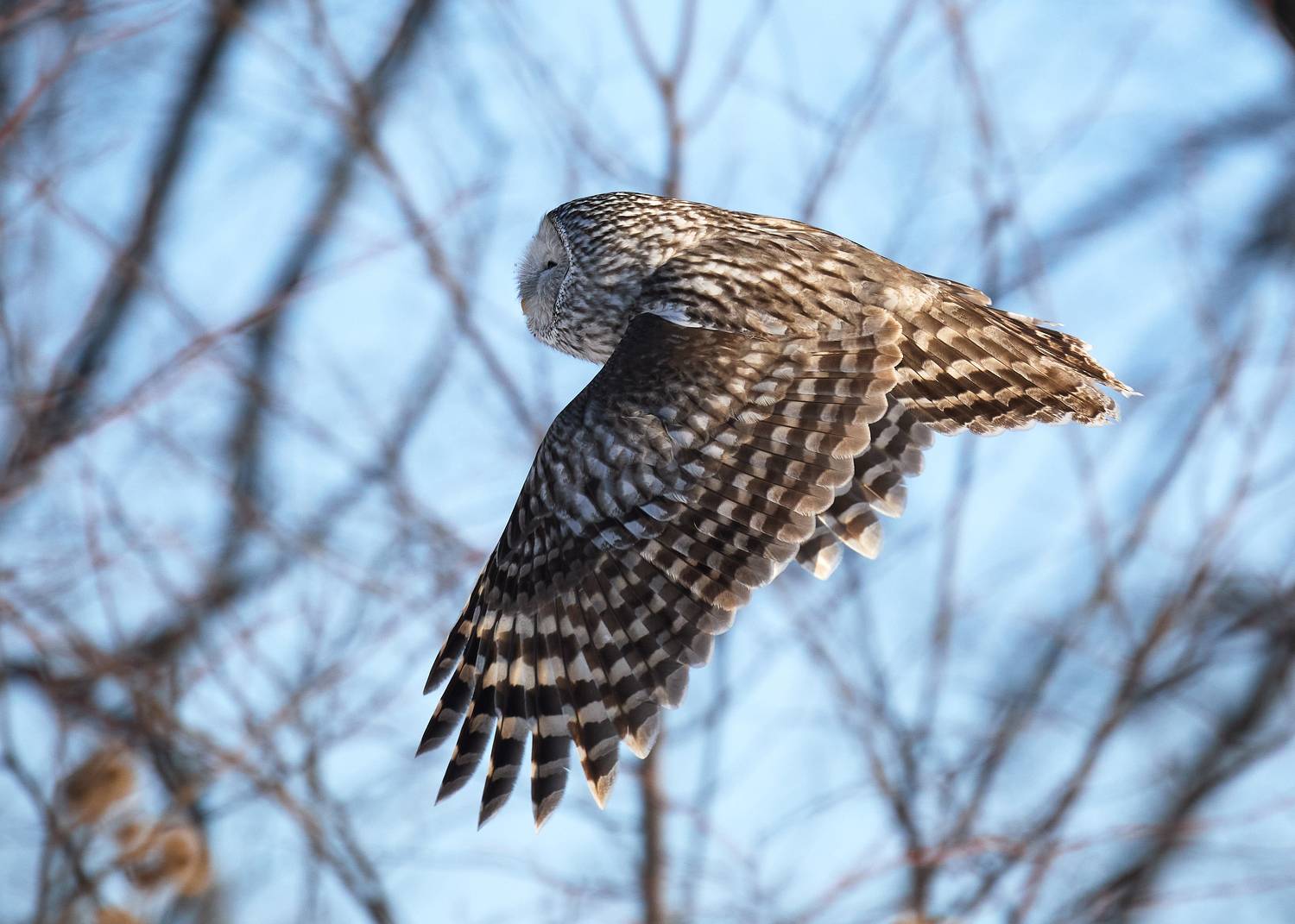 , Гильманов Артур