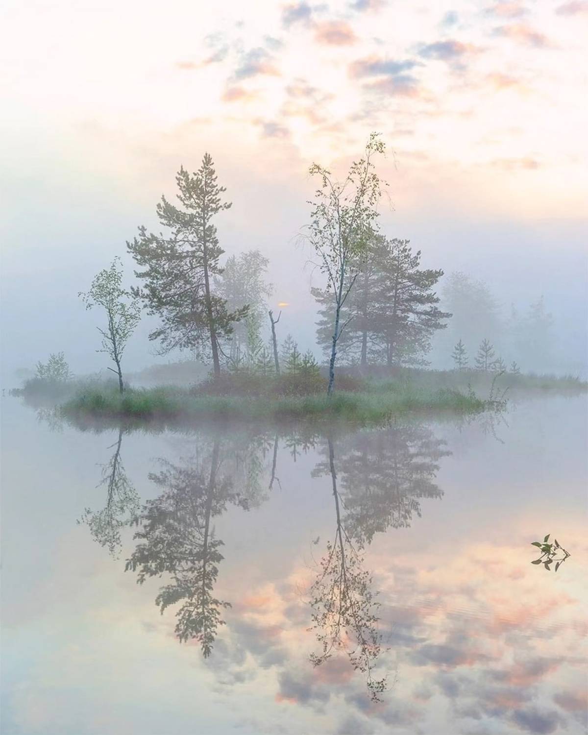 , Петр Косых