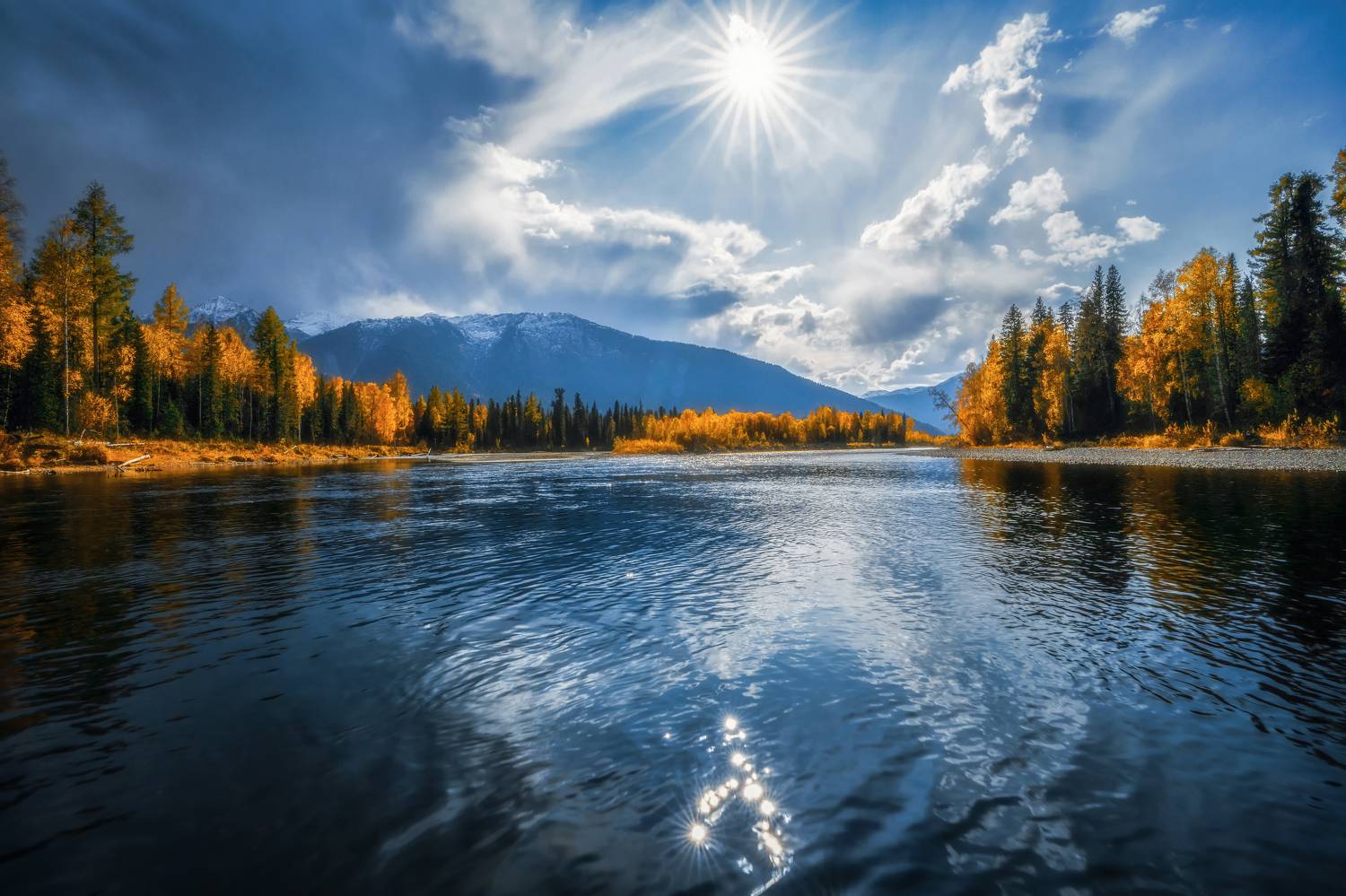 , Nikitin Alexander