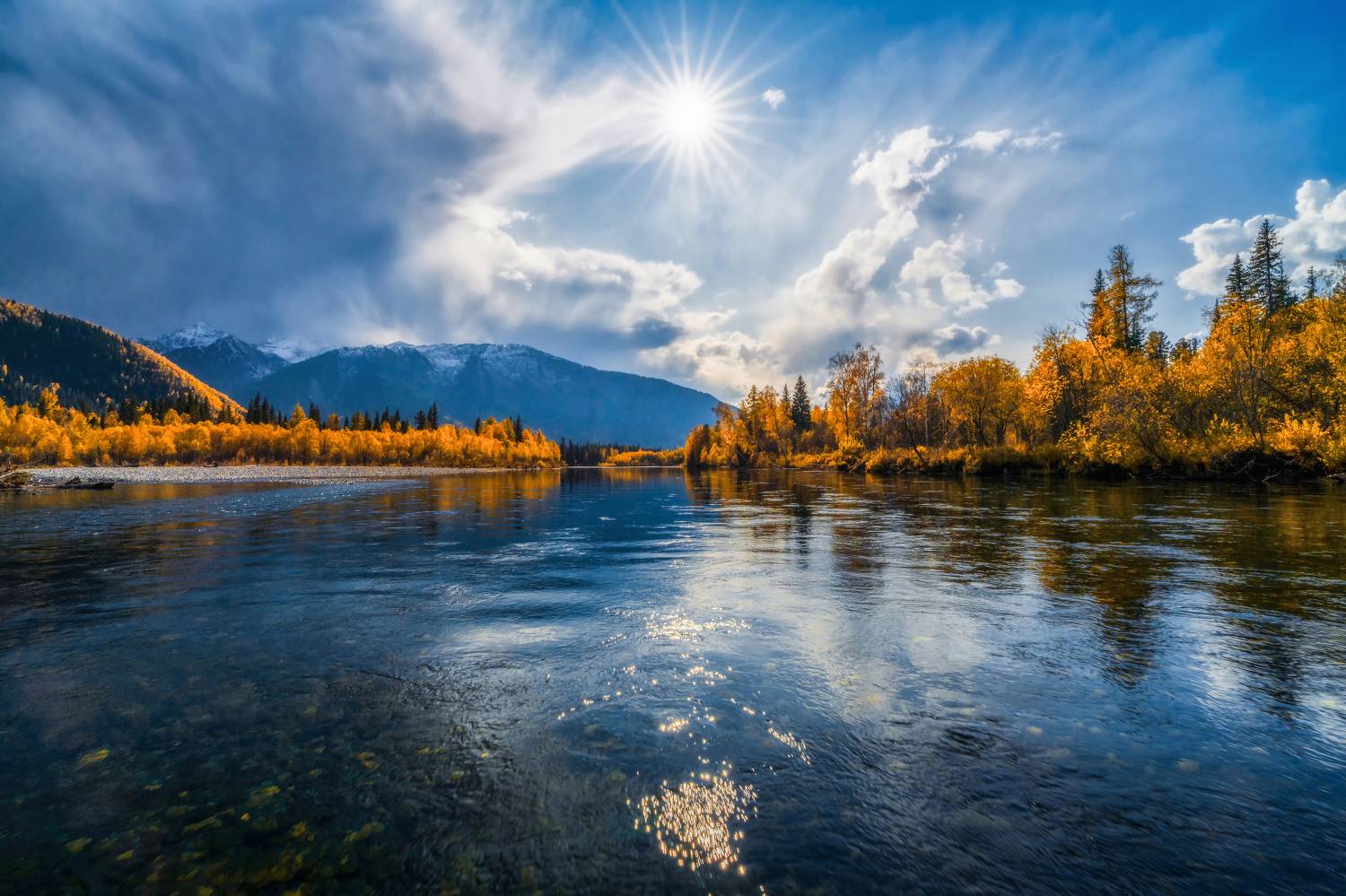 , Nikitin Alexander