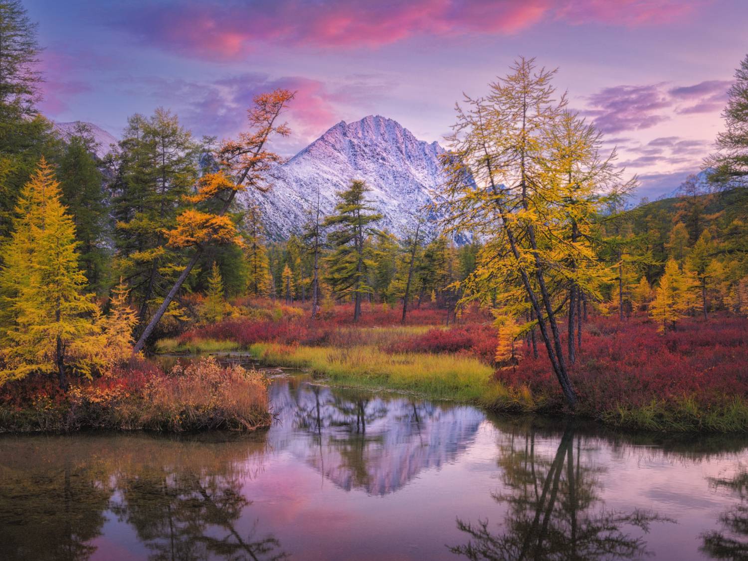 озеро джека лондона, Dmitry Medyancev