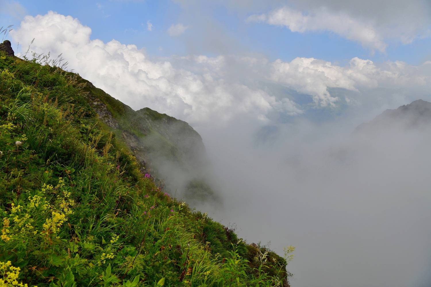 , Щербина Наталия