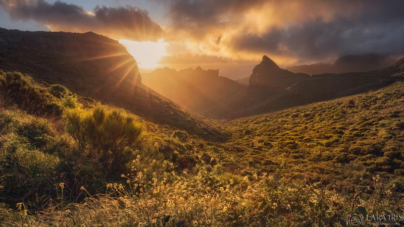 Закатный вальс фото превью