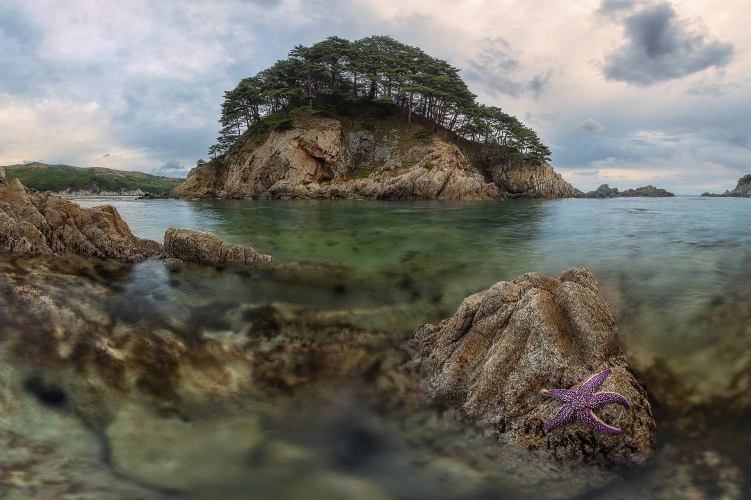 приморье, приморский край, пейзаж, море, японское море, морская звезда, Константин Маланин