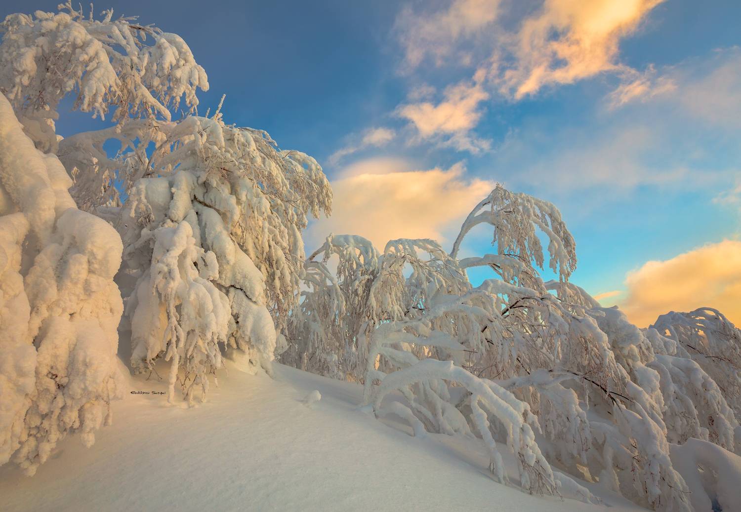 , Евдокимов Сергей