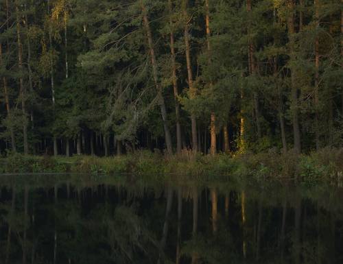 Первые лучи