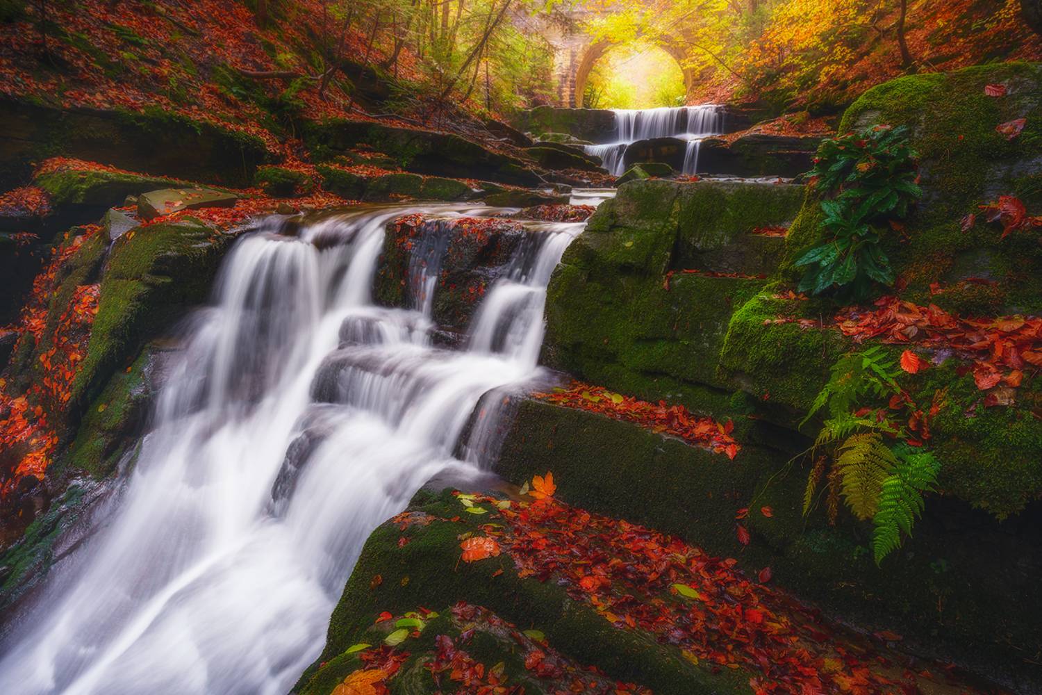 landscape, nature, scenery, forest, wood, autumn, fall, waterfall, river, mountain, rodopi, bulgaria, лес, Александров Александър
