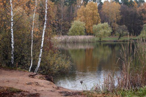 1 час в осеннем парке