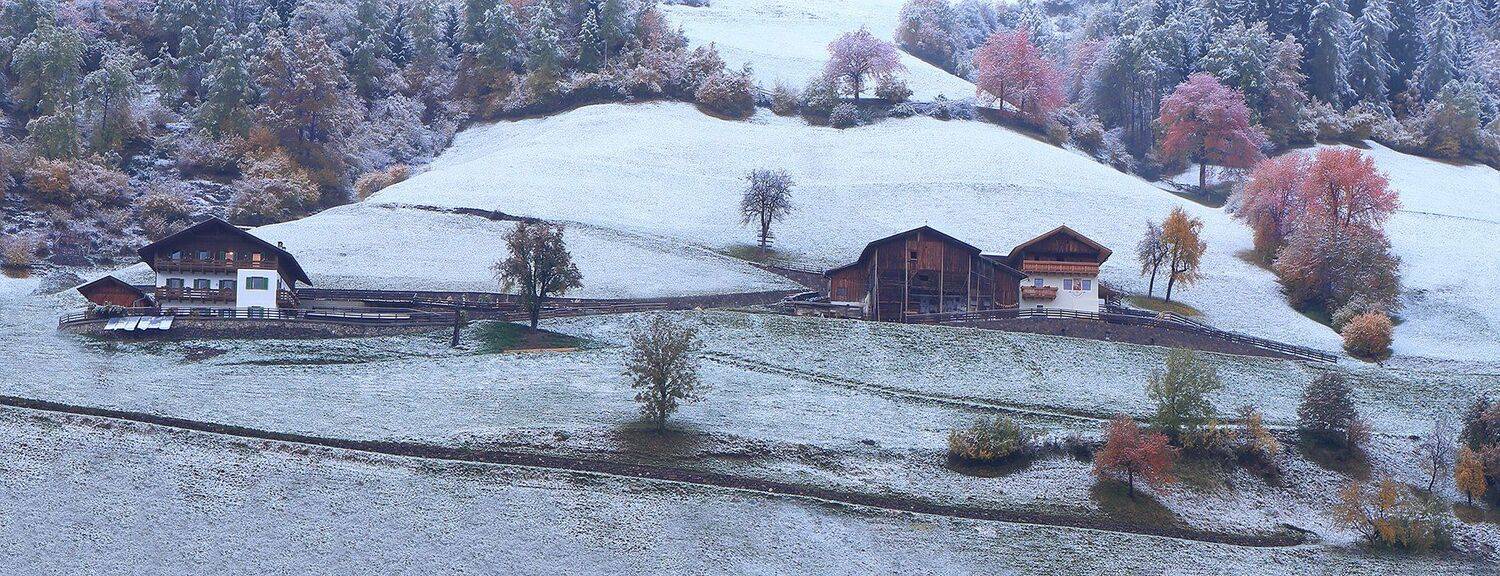 Санта Маддалена, Игорь Дубровский