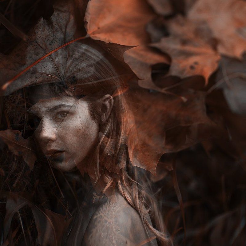 Autumn фото превью