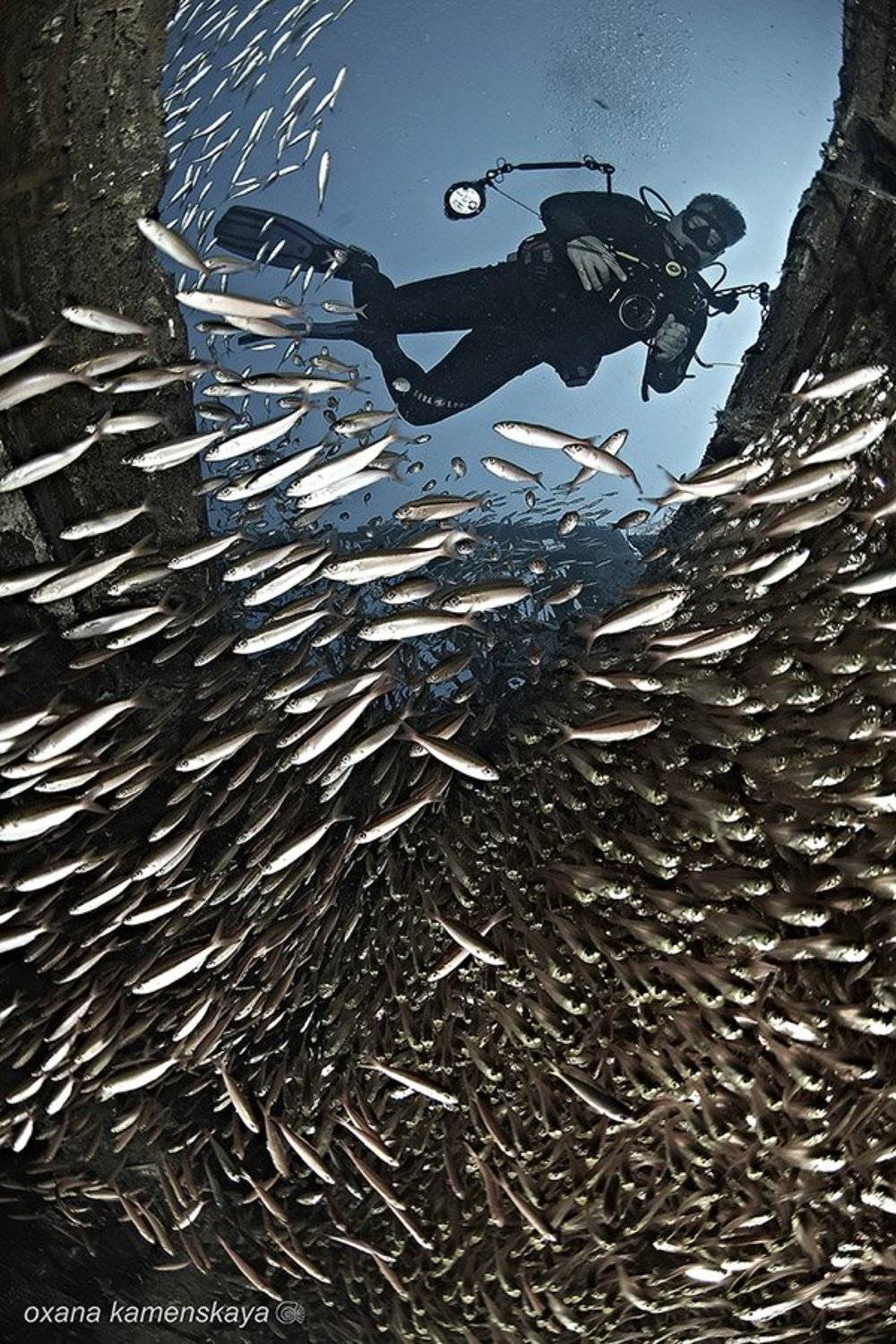 , Оксана Каменская