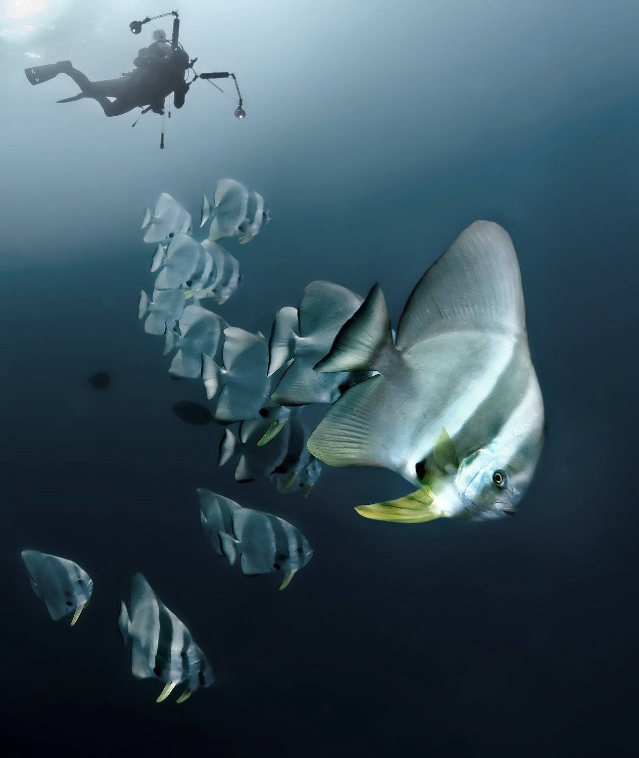 , Степан Решетников