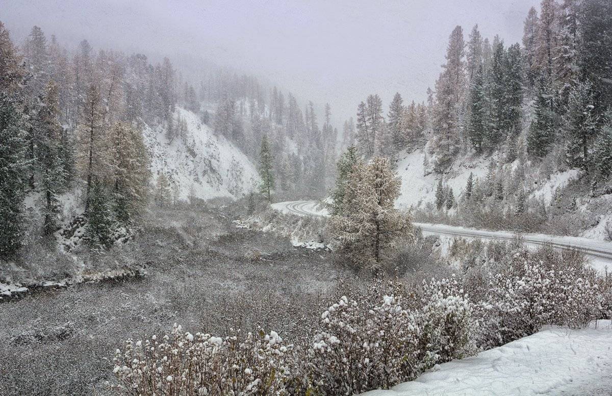 Алтай, снег, зима, Скиндерева Ольга