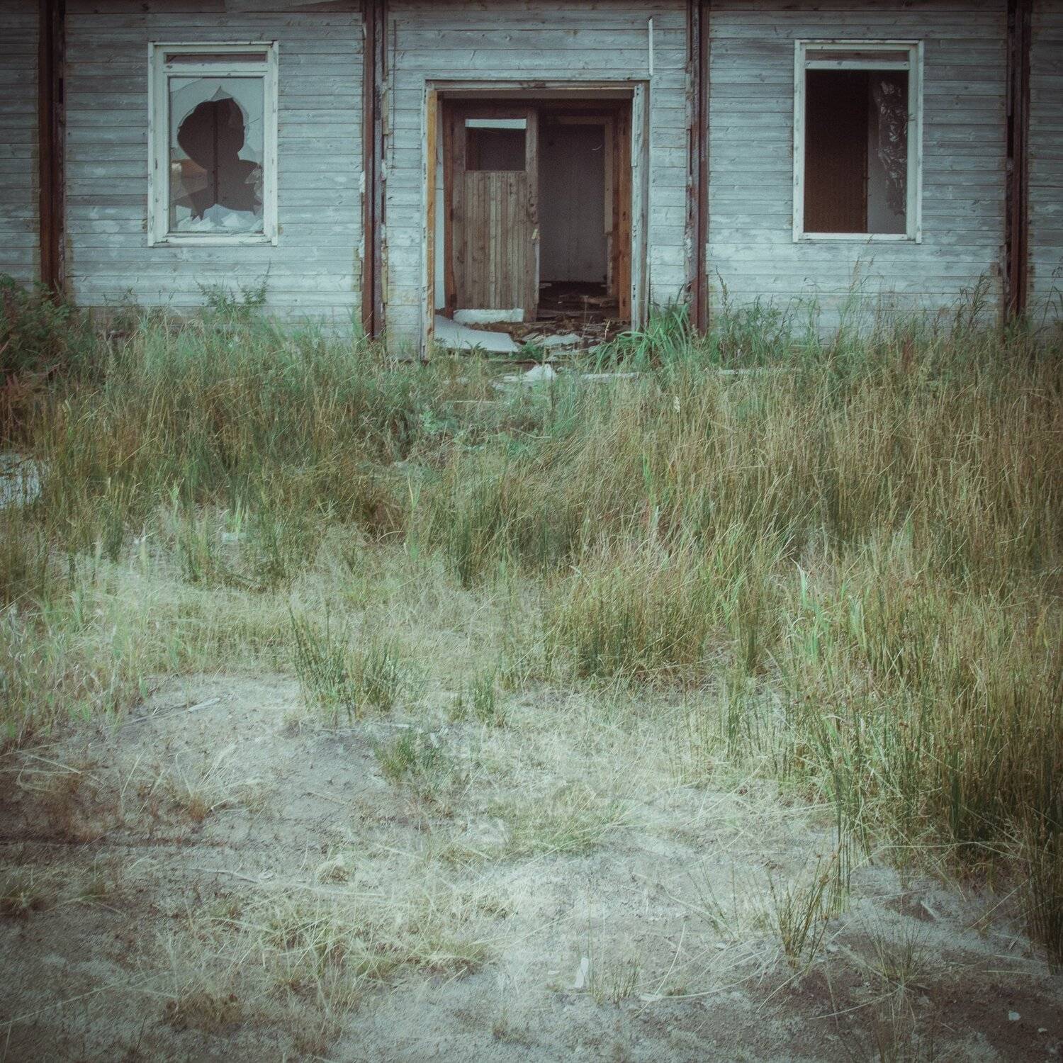 35, architecture, canon, color, colors, grass, green, nature, photo, photography, plants, sakhalin, sand, travel, Vladimir Mastepanov