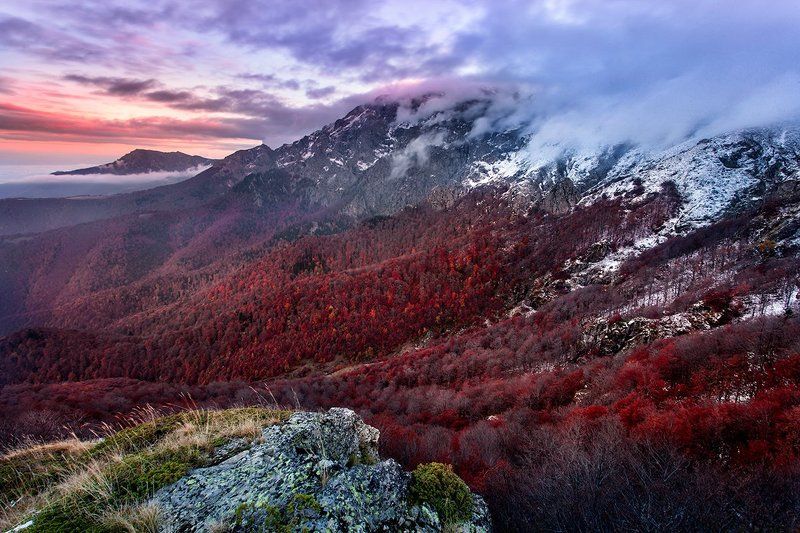 Между Сезонами фото превью