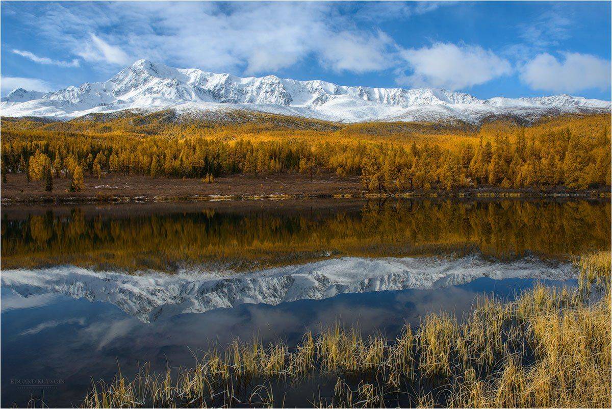 , Кутыгин Эдуард