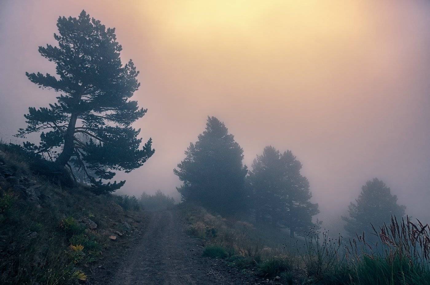 , Игорь Мелекесцев