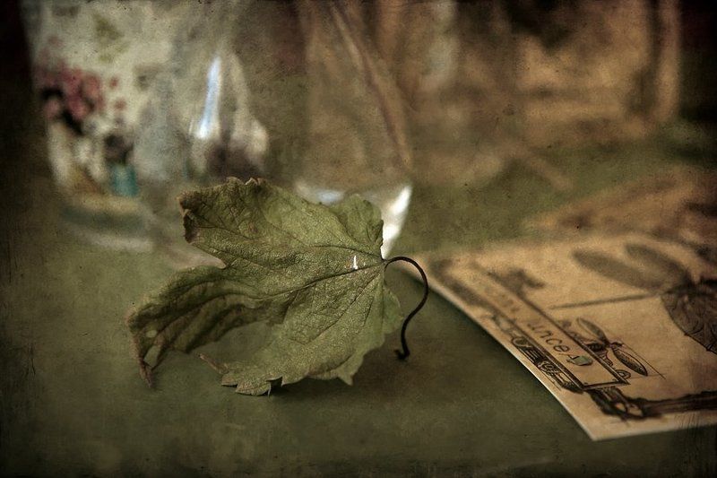 Истории с открытками фото превью