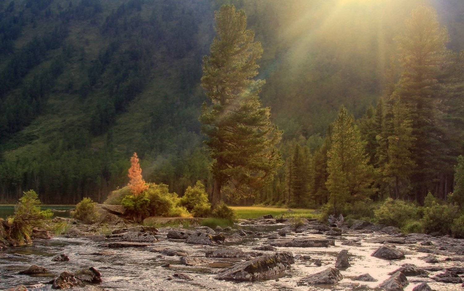 алтай, горный алтай, мультинские озёра, свет, закат, Галина Хвостенко