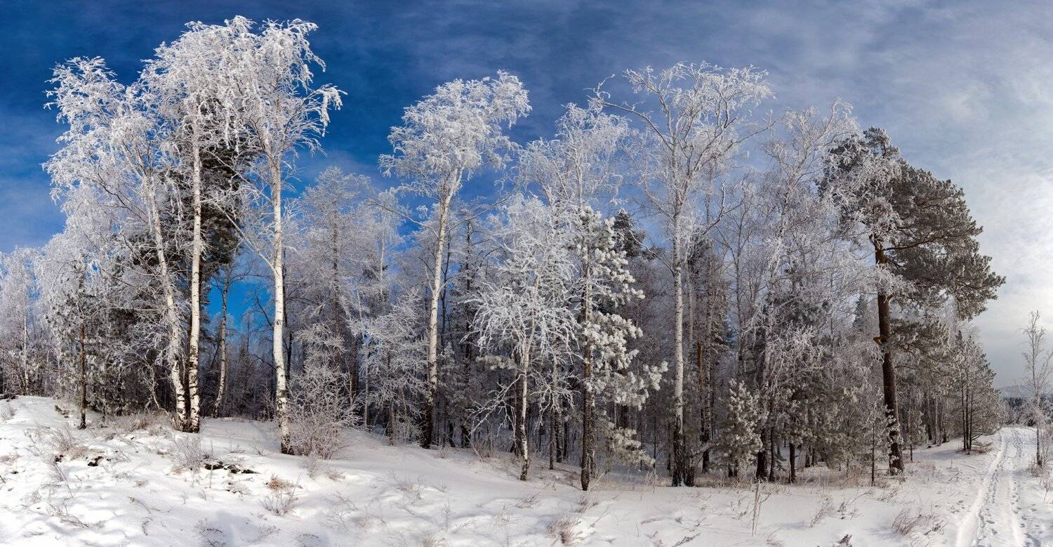 , Сергей Евдокимов