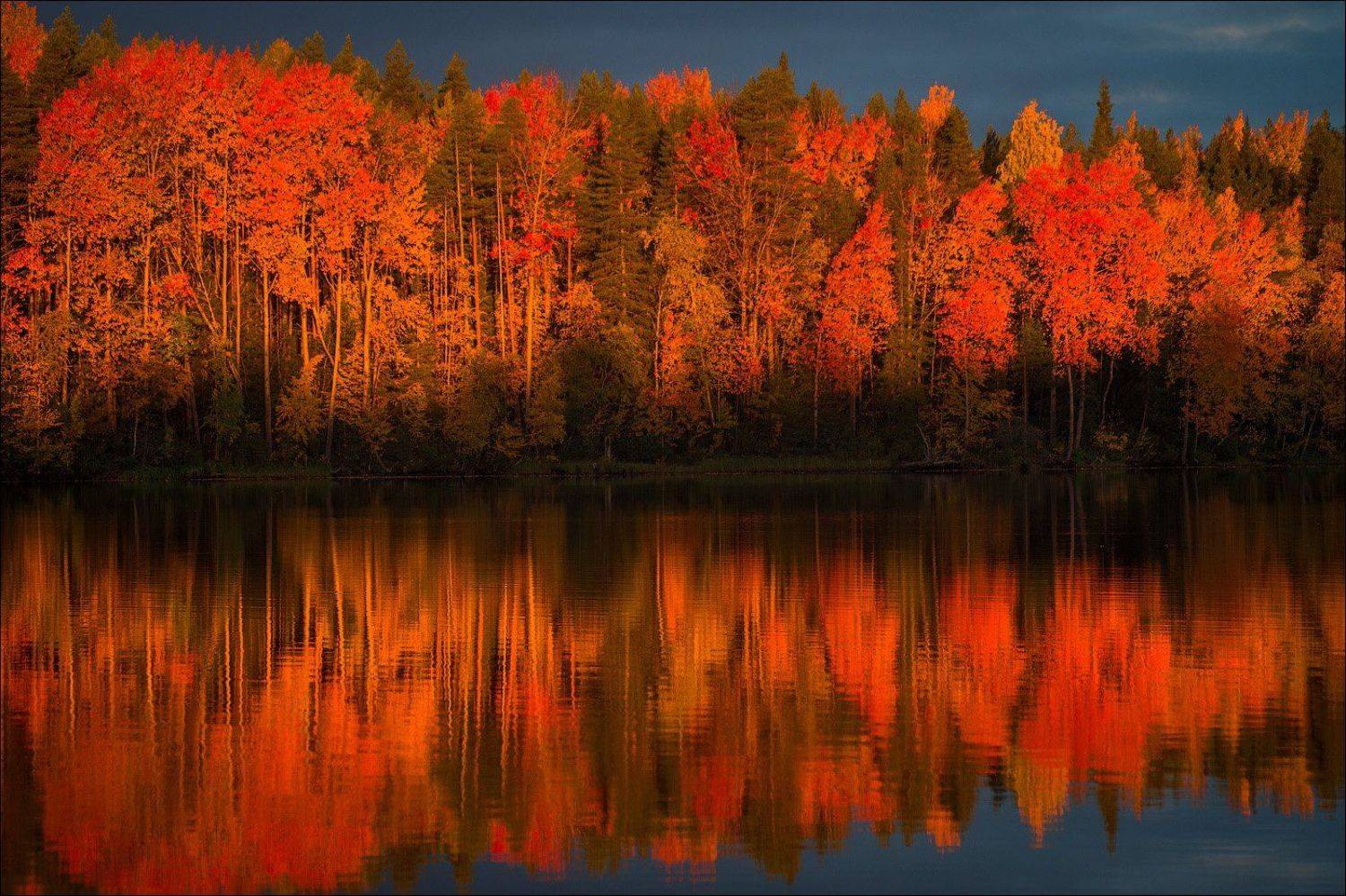 , Гусев Василий