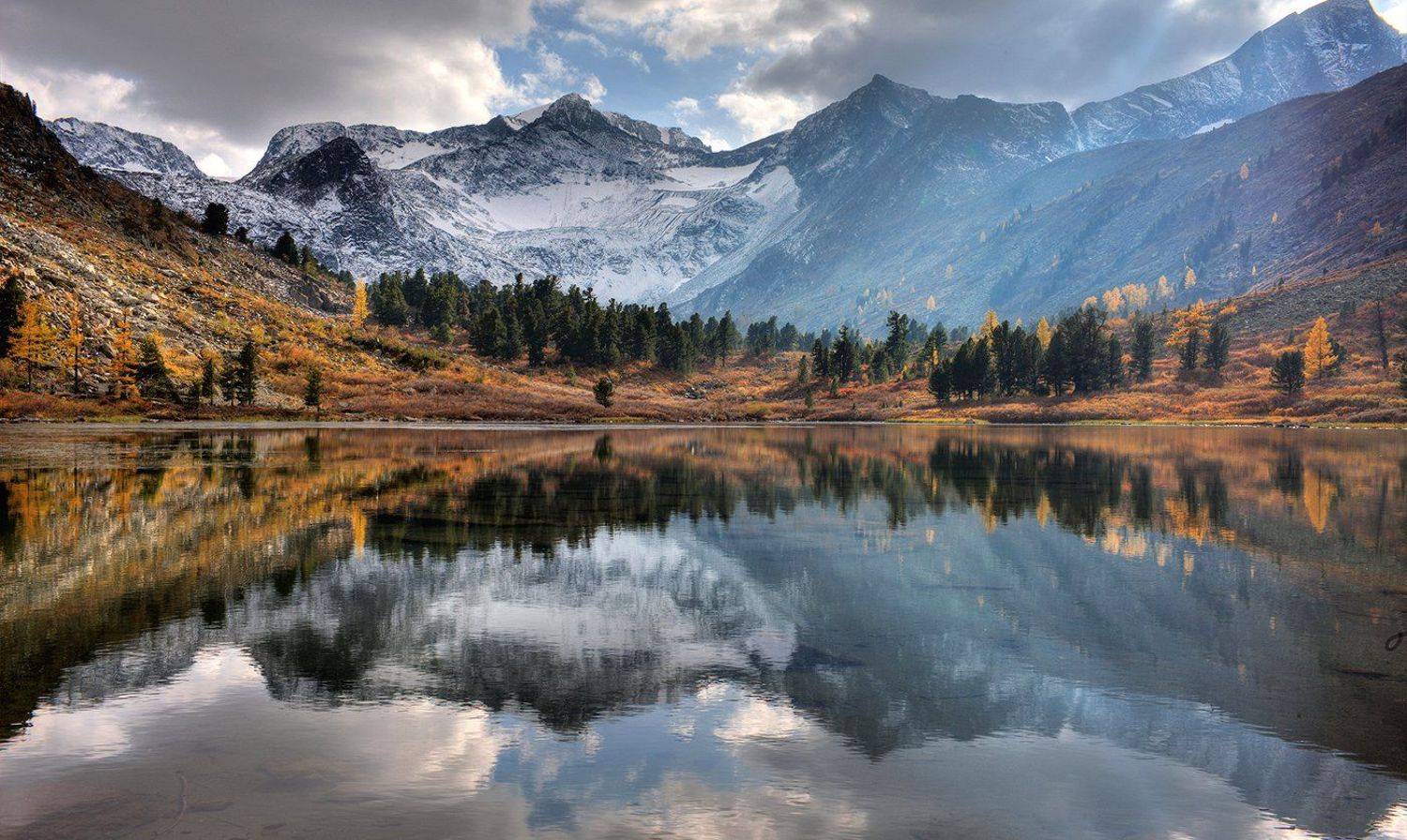 , Алексей Родак