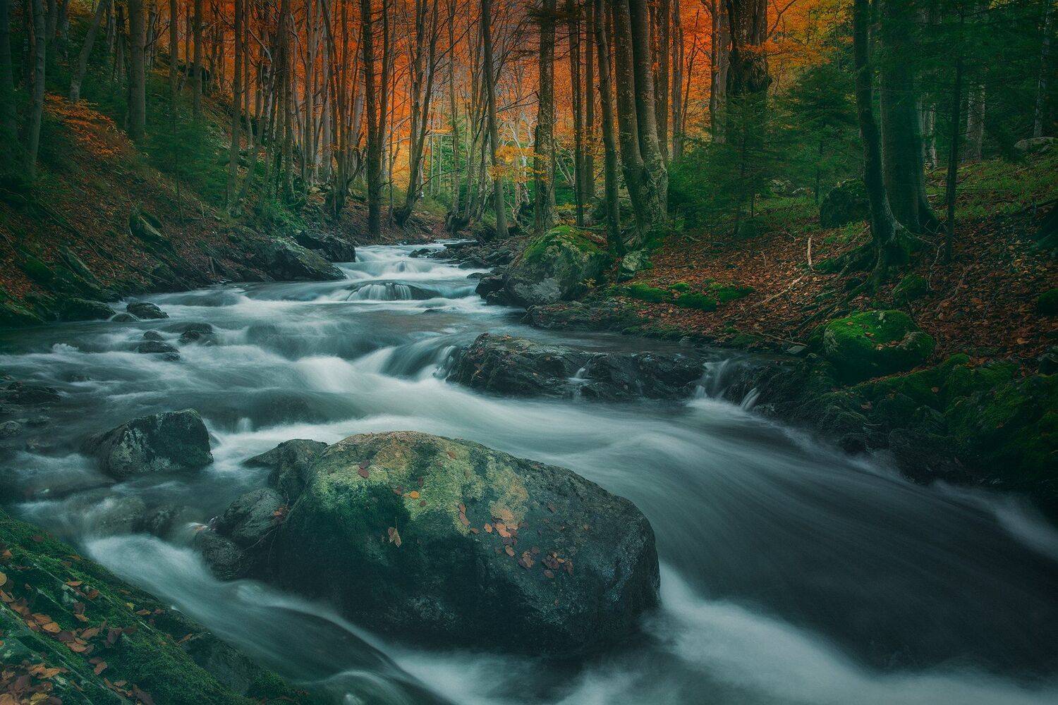 , Ева Йорданова