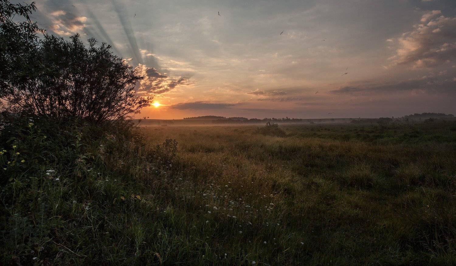 Пушкарёво, Утро, Лето, Дорогобуж, Андрей Леонидович