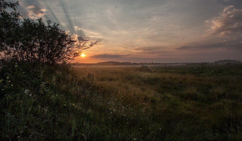 Пушкарёво, Утро, Лето, Дорогобуж Солнечный выстрел фото превью