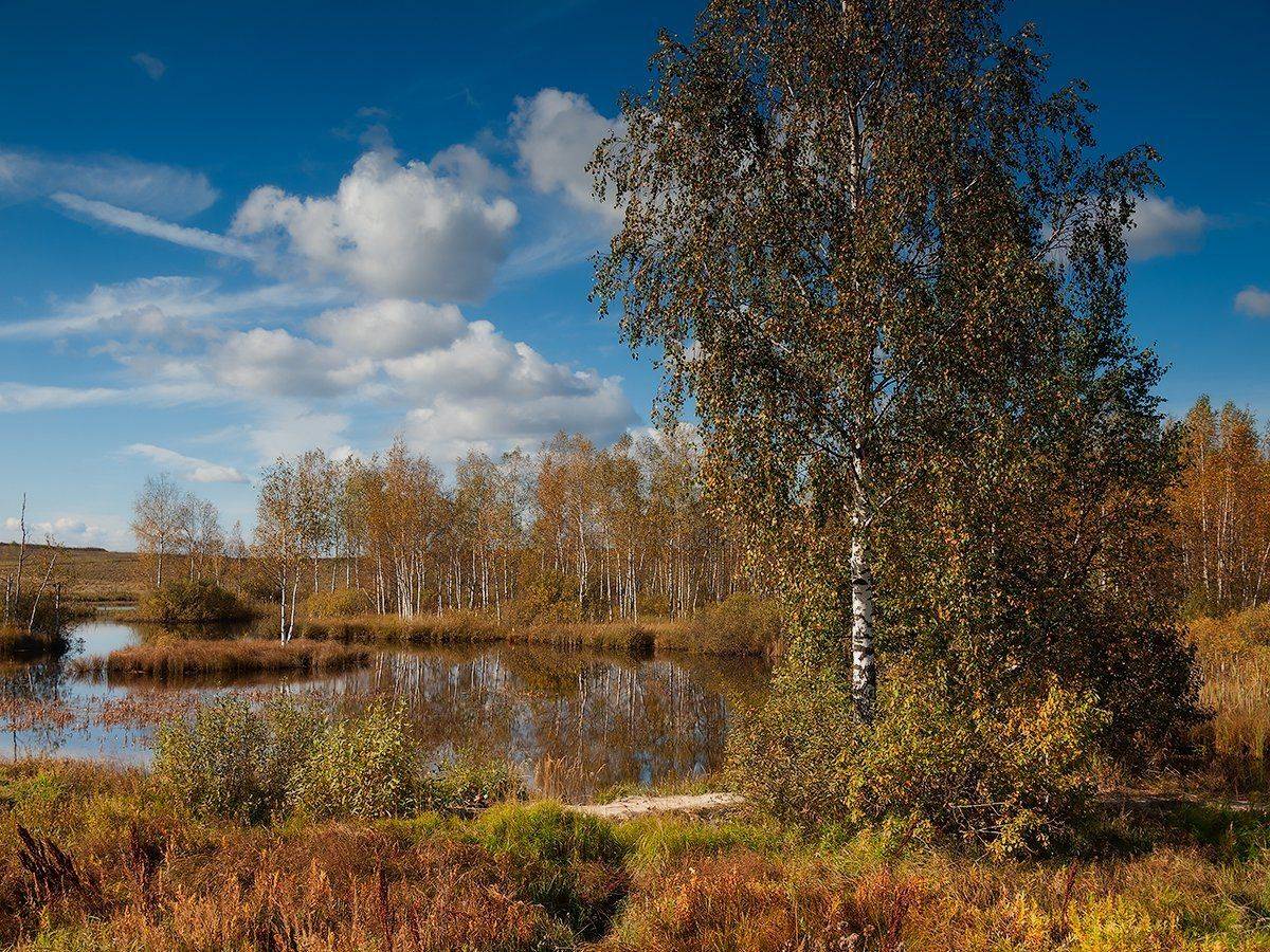 , Владимир Перепечаев