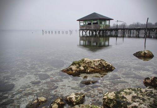 Foggy