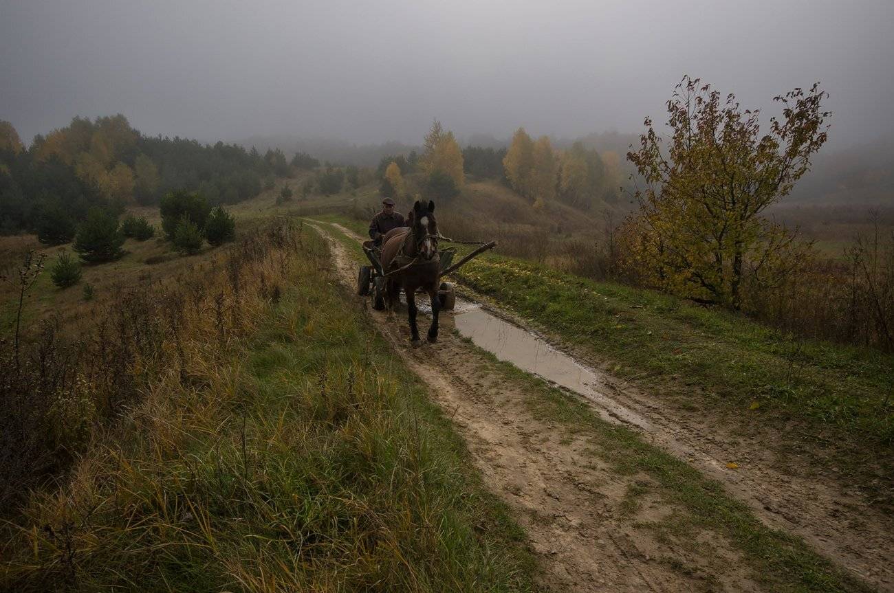 , Володимир Карчевський